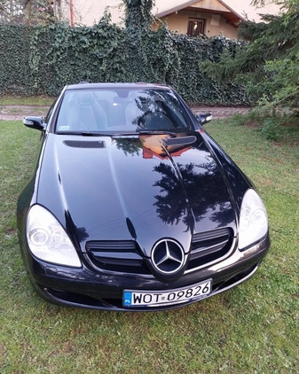 Mercedes-Benz SLK cena 51660 przebieg: 206000, rok produkcji 2006 z Karczew małe 37